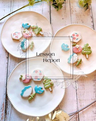 レッスンレポート(体験レッスン)